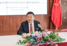 Hommage de Sun Yong à la Guinée, Défenseur de L’Unité Hommage de Sun Yong à la Guinée, Défenseur de L'Unité