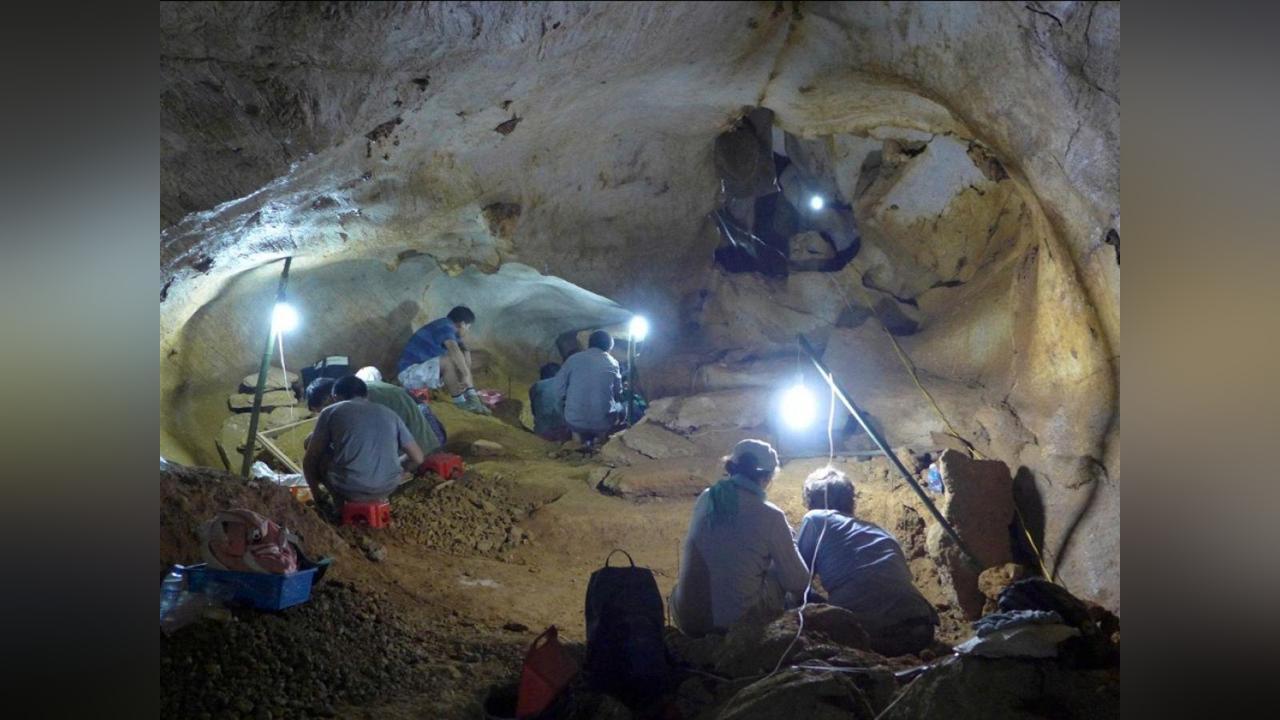 S’Adapter ou Disparaître dans le Régime Alimentaire S’Adapter ou Disparaître dans le Régime Alimentaire