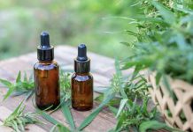 CBD entre Science et Bien-Être sur le Marché Français CBD entre Science et Bien-Être sur le Marché Français