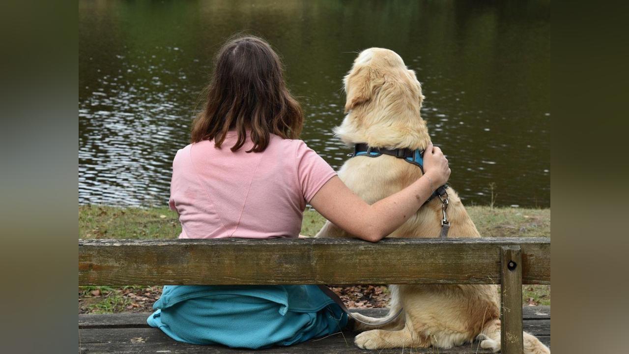 Gènes Comportementaux Partagés avec les Golden Retrievers Gènes Comportementaux Partagés avec les Golden Retrievers