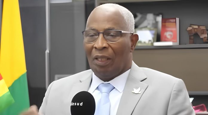 Bah Oury: Présidentielle du 28 Décembre, pas Facile Bah Oury: Présidentielle du 28 Décembre, pas Facile