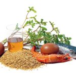 Quels Sont les Bienfaits des Oméga-3? Quels Sont les Bienfaits des Oméga-3?