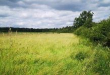 Restaurer les Puits de Carbone pour Sauver le Climat Restaurer les Puits de Carbone pour Sauver le Climat