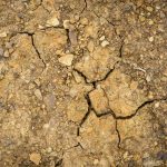 Chaleur Record dans les Régions du Monde en 2025 Chaleur Record dans les Régions du Monde en 2025