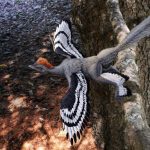 Mue du Dinosaure À Plumes et Incapacité À Voler Mue du Dinosaure À Plumes et Incapacité À Voler