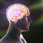 Ne Plus Penser À Rien Est Possible dans le Cerveau Ne Plus Penser À Rien Est Possible dans le Cerveau