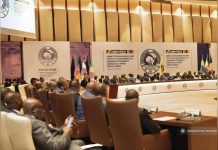 Cime D’Afrique Centrale: Stabilité ÉConomique et Confiance Cime D’Afrique Centrale: Stabilité ÉConomique et Confiance