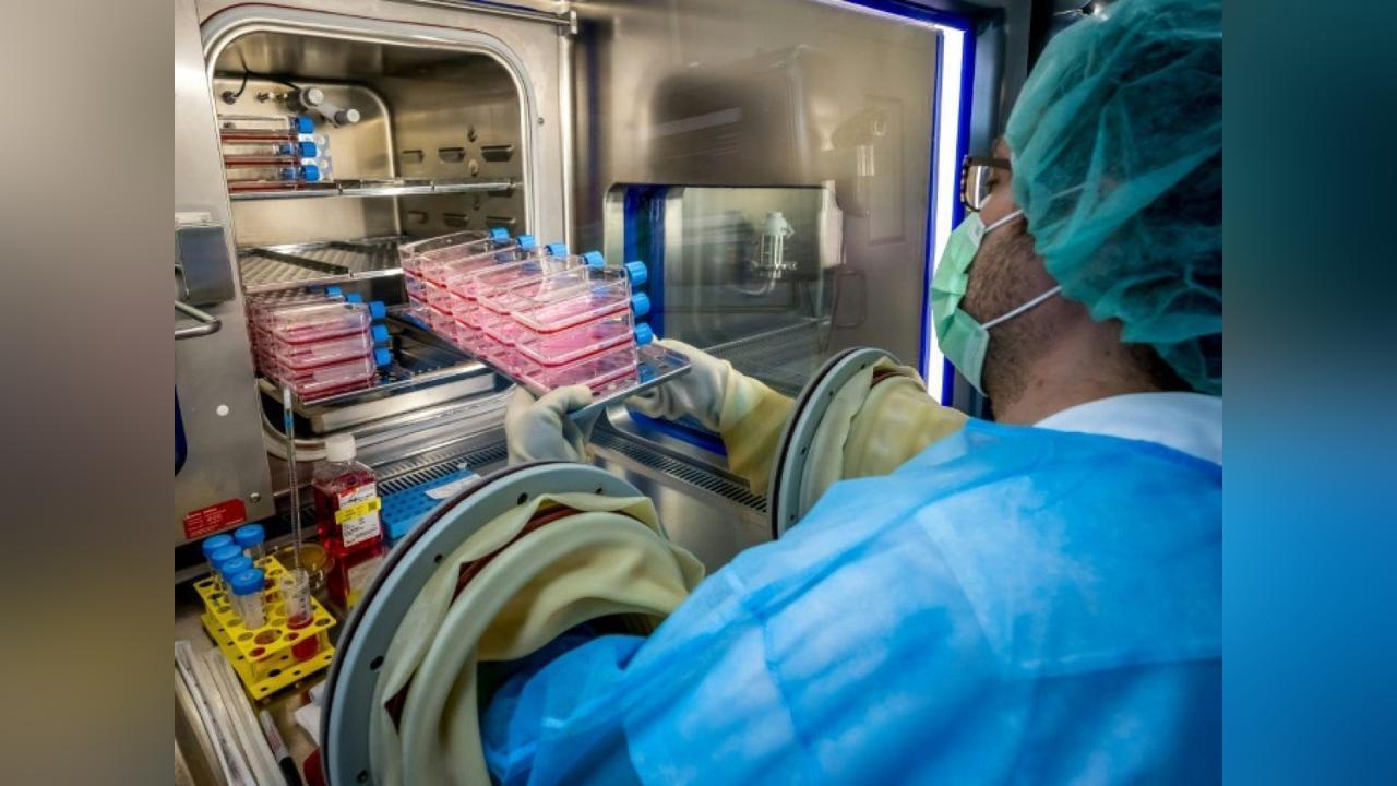 Nouvelle Peau pour Grands Brûlés en Suisse Nouvelle Peau pour Grands Brûlés en Suisse