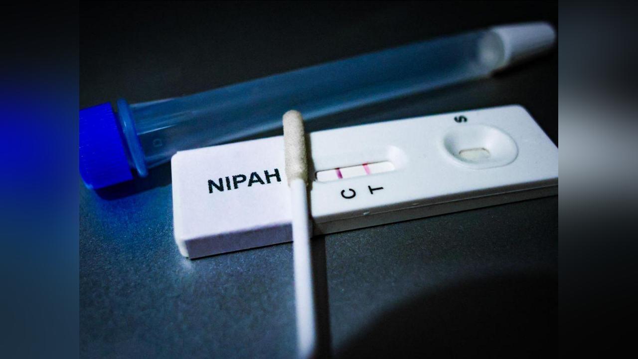 Virus Nipah en Inde: L’Europe Doit-Elle S’inquiéter? Virus Nipah en Inde: L’Europe Doit-Elle S’inquiéter?