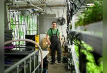 Pari Fou D’Un Entrepreneur pour Cultiver Salades Groenland Pari Fou D'Un Entrepreneur pour Cultiver Salades Groenland