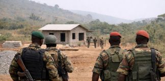 Interpellation de 16 Militaires Sierra-léonais en Guinée Interpellation de 16 Militaires Sierra-léonais en Guinée