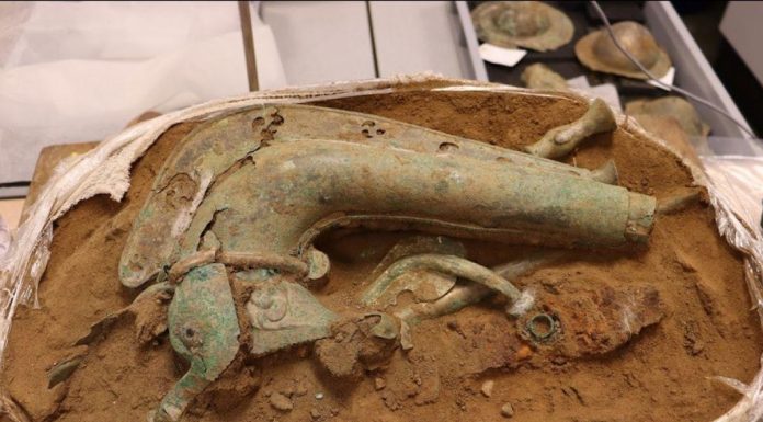 Découverte D’Un Carnyx, Trompette des Guerriers Celtes Découverte D’Un Carnyx, Trompette des Guerriers Celtes