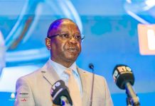 Guinée Vise à Devenir Fournisseur de Minéraux Critiques Guinée Vise à Devenir Fournisseur de Minéraux Critiques