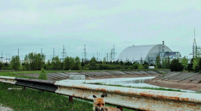 Tchernobyl Laboratoire Naturel de L’Évolution Irradiée Tchernobyl Laboratoire Naturel de L’Évolution Irradiée