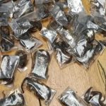 Afrique: 150 Scorpions Découverts dans un Sac Afrique: 150 Scorpions Découverts dans un Sac