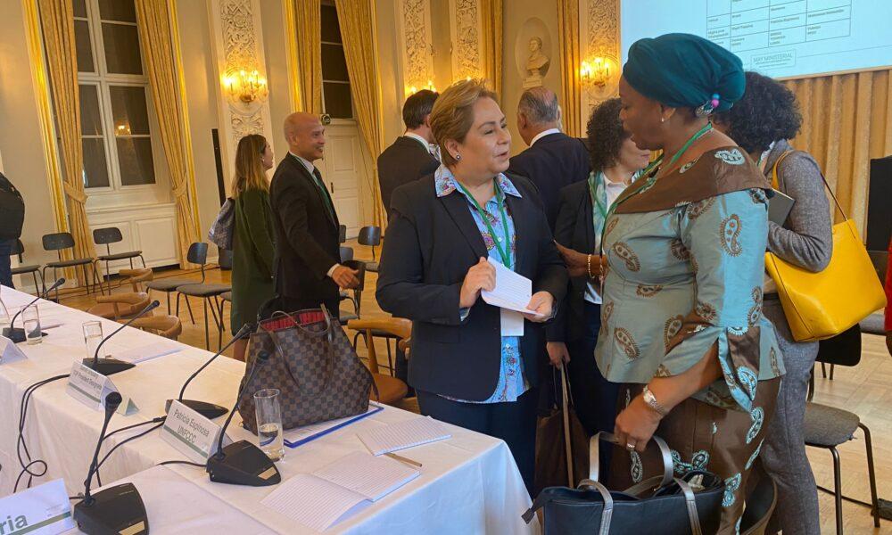 Monde : Eve Bazaiba représente la RDC à la 17ème session du Forum des Nations-Unies sur les forêts