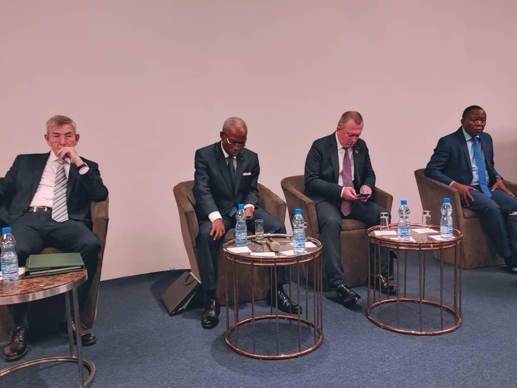 Bassin du Congo : les Etats membres déterminés à renforcer leur mécanisme de conservation Bassin du Congo : les Etats membres déterminés à renforcer leur mécanisme de conservation