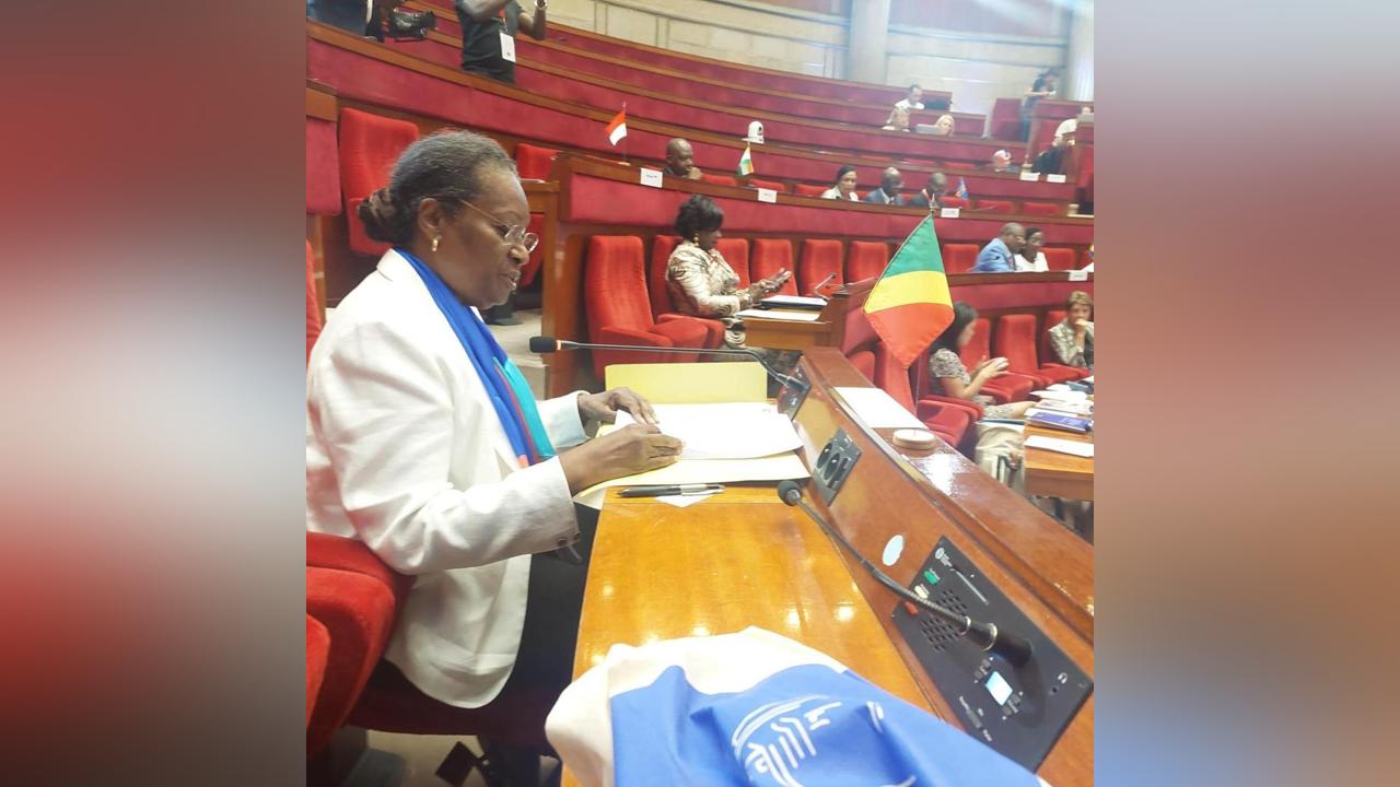 Assemblée générale de l’Ucesif : Emilienne Raoul évoque la nécessité de préserver le bassin du Congo Assemblée générale de l’Ucesif : Emilienne Raoul évoque la nécessité de préserver le bassin du Congo