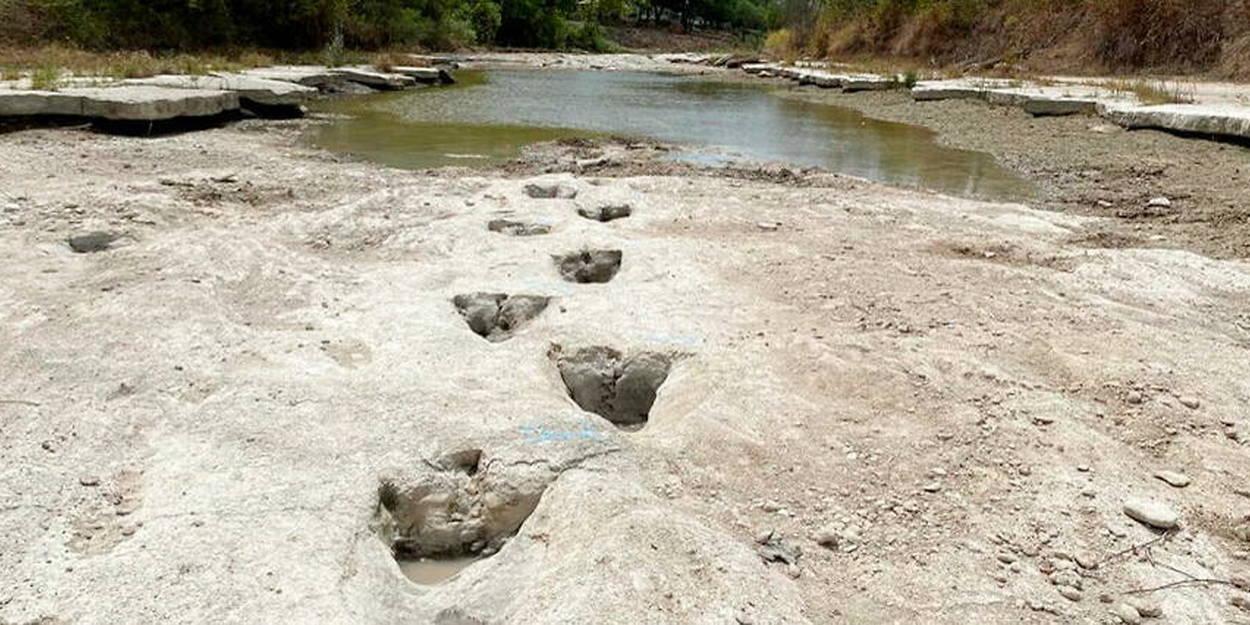 Des traces de dinosaures au Texas Des traces de dinosaures au Texas