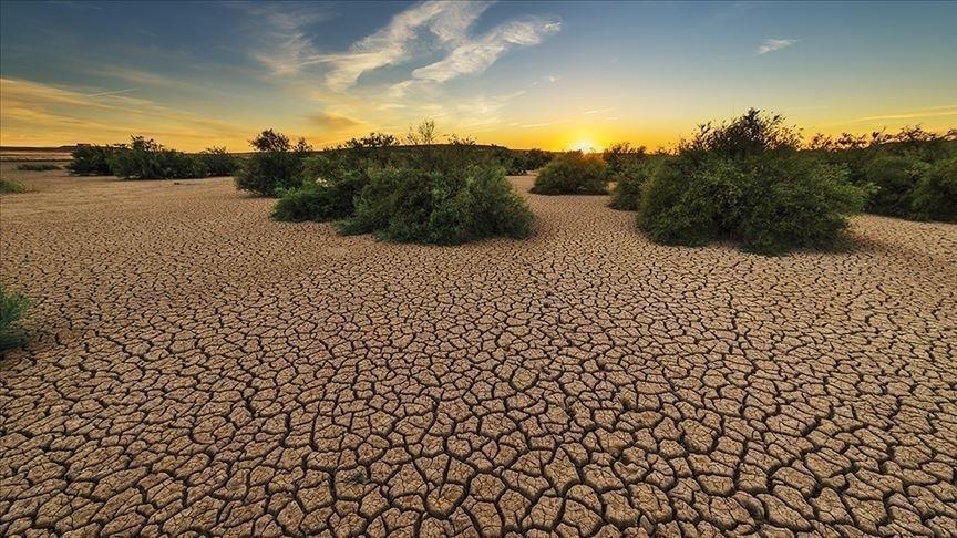 Selon une étude de l’université d’Hawaï aux Etats-Unis: le changement climatique a compliqué 58% de toutes les maladies de l’humanité Selon une étude de l’université d’Hawaï aux Etats-Unis: le changement climatique a compliqué 58% de toutes les maladies de l’humanité
