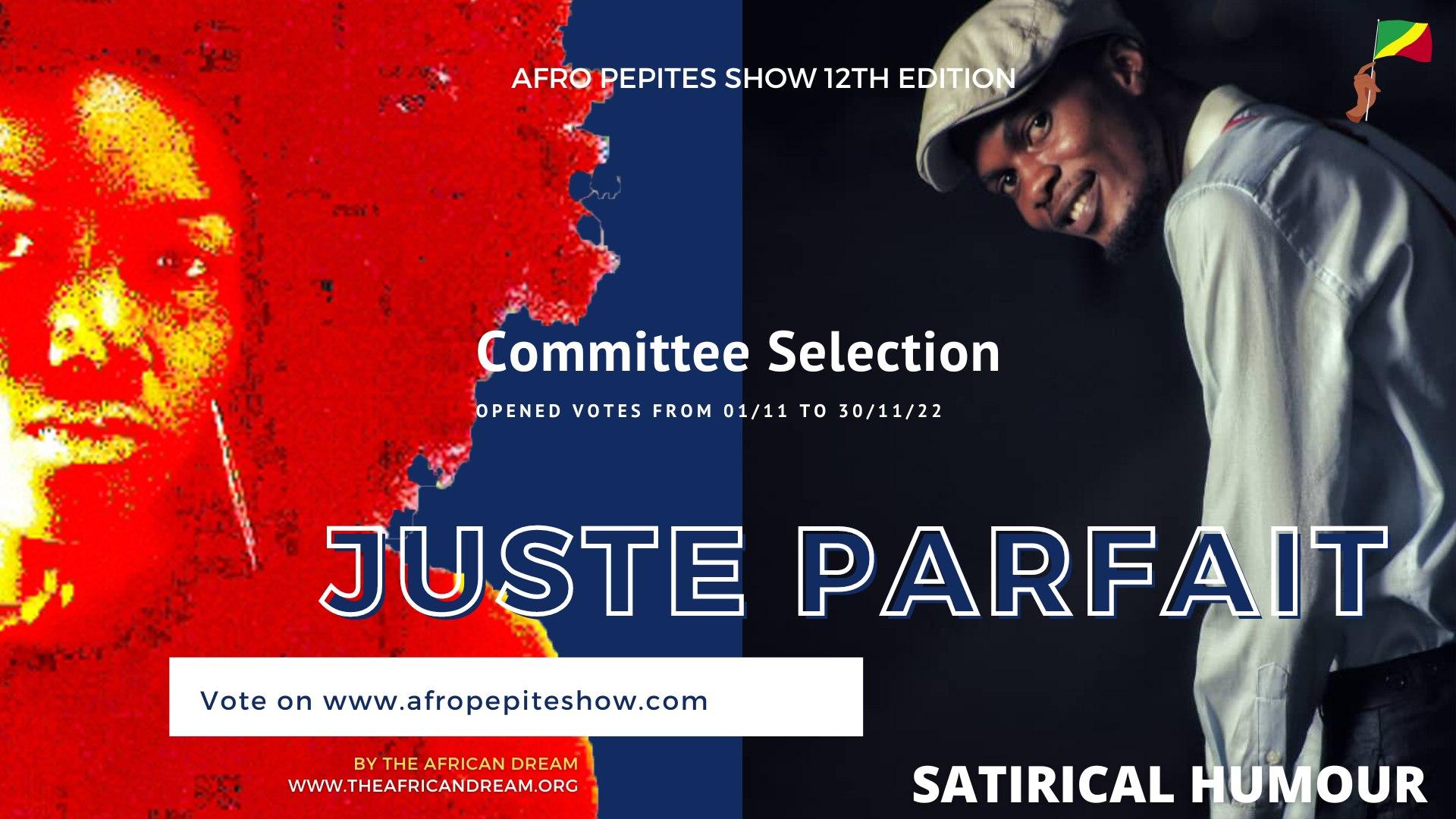 Afro pépites show 2022 : deux Congolais en finale