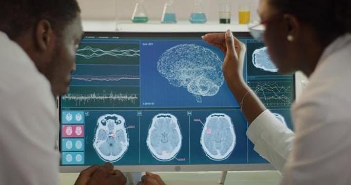 Qu’est-ce que la mystérieuse “zone incertaine” du cerveau ? Qu’est-ce que la mystérieuse “zone incertaine” du cerveau ?