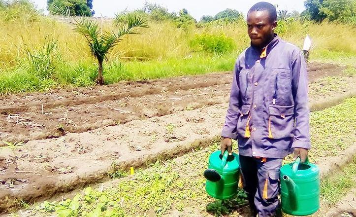 dieu-merci mpassi et arlich madzou émergent dans l’agriculture et la gastronomie grâce au pdce dieu-merci mpassi et arlich madzou émergent dans l’agriculture et la gastronomie grâce au pdce