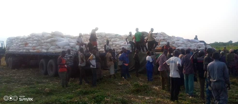 Zones agricoles protégées : une mention spéciale pour la Bouenza Zones agricoles protégées : une mention spéciale pour la Bouenza