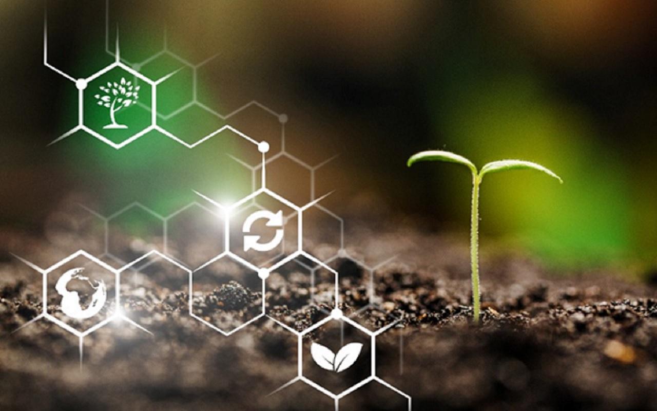 Comment obtenir un financement pour son projet agroalimentaire ? Comment obtenir un financement pour son projet agroalimentaire ?