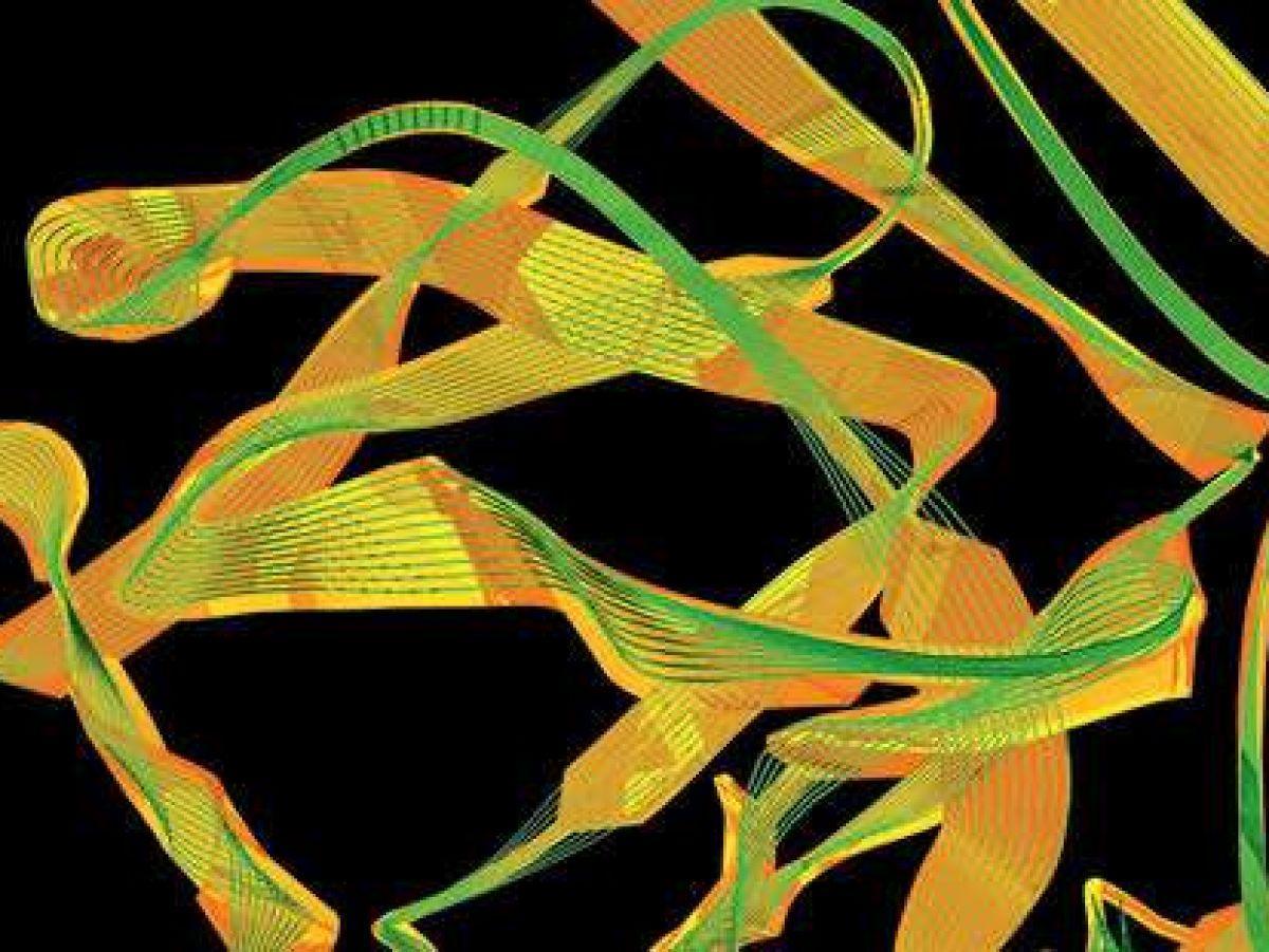 Un ARN efficace contre l'hémophilie Un ARN efficace contre l'hémophilie