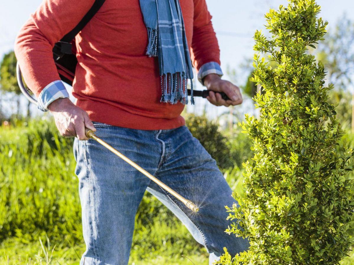 Ces dix pesticides favorisent le développement de la maladie de Parkinson Ces dix pesticides favorisent le développement de la maladie de Parkinson