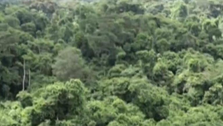 tenue à brazzaville de la 14ème édition du séminaire international sur l’évaluation environnementale tenue à brazzaville de la 14ème édition du séminaire international sur l’évaluation environnementale