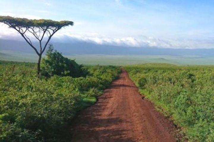 L’Afrique doit repenser la gestion de ses ressources naturelles pour éviter des conséquences socioéconomiques négatives L’Afrique doit repenser la gestion de ses ressources naturelles pour éviter des conséquences socioéconomiques négatives