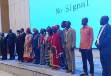 Gamboma-Abala: Plus de 100 000 Hectares de ForêT À Planter Gamboma-Abala: Plus de 100 000 Hectares de ForêT À Planter