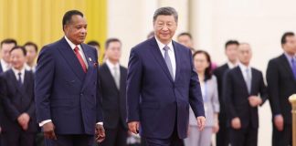 La Chine et L’Afrique: Avenir ÉConomique Partagé La Chine et L'Afrique: Avenir ÉConomique Partagé