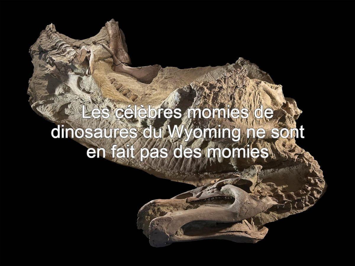 Dinosaures, Satellites Et Biokérosène En Ultrabrèves Dinosaures, Satellites Et Biokérosène En Ultrabrèves