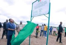 Sassou-N’Guesso Lance la 39ᵉ Journée Nationale de l’Arbre Sassou-N’Guesso Lance la 39ᵉ Journée Nationale de l’Arbre