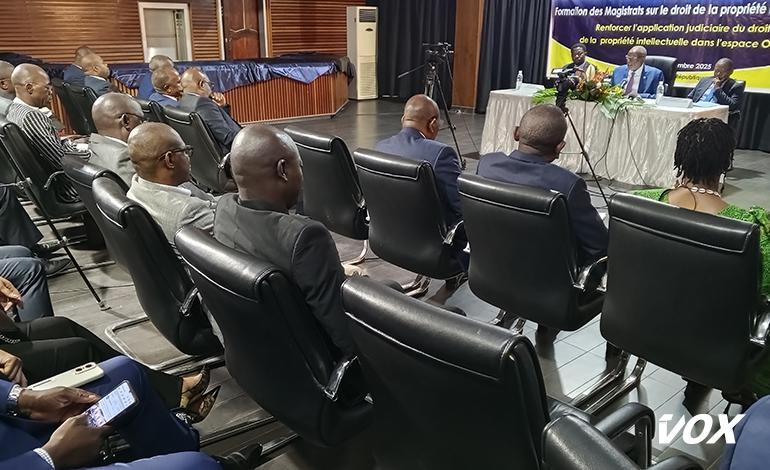 Magistrats Formés à la Gestion du Droit de Propriété Intellectuelle Magistrats Formés à la Gestion du Droit de Propriété Intellectuelle