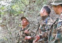 Protection des Singes à Longue Fourrure Dorée du Yunnan Protection des Singes à Longue Fourrure Dorée du Yunnan