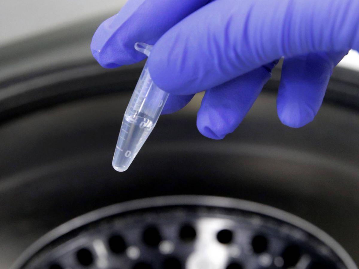 French Gut: Les Enfants Révèlent Leur Microbiote French Gut: Les Enfants Révèlent Leur Microbiote