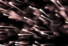 Augmentation des Mutations Délétères des Spermatozoïdes avec l’Âge Augmentation des Mutations Délétères des Spermatozoïdes avec l'Âge