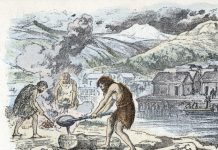 Aux Origines De La Domination Masculine Aux Origines De La Domination Masculine