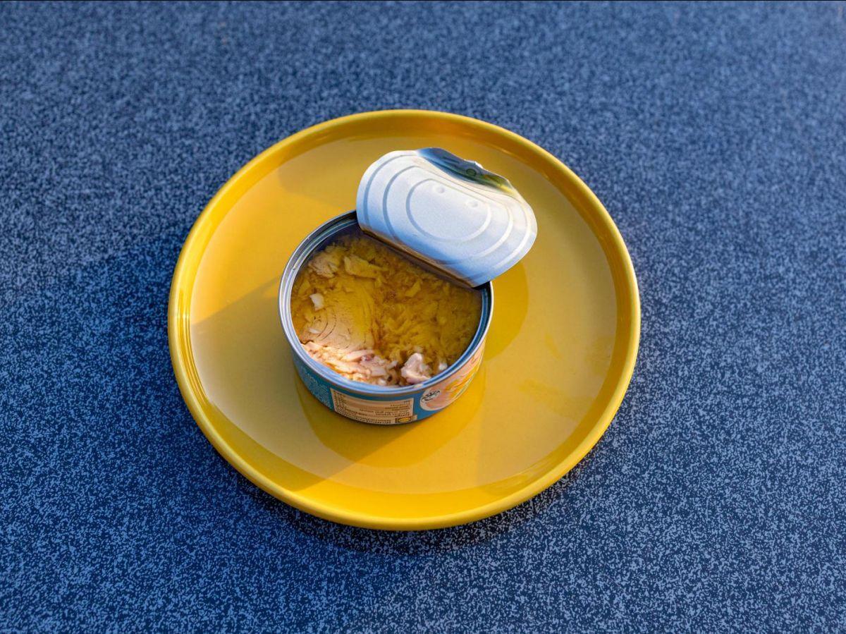 Thon En Boîte: Faut-Il S’en Méfier Après Alerte Mercure Thon En Boîte: Faut-Il S’en Méfier Après Alerte Mercure