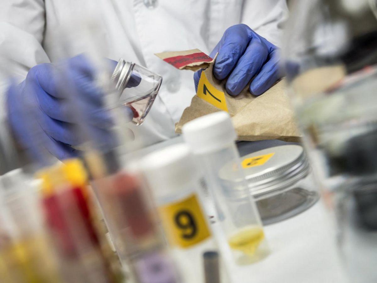 Affaire Du Violeur Au Tournevis Résolue Par Généalogie Affaire Du Violeur Au Tournevis Résolue Par Généalogie