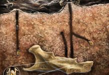 Abeilles Nichant Dans Des Fossiles Comportement Inédit Abeilles Nichant Dans Des Fossiles Comportement Inédit