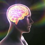 Ne Plus Penser À Rien Est Possible Dans Le Cerveau Ne Plus Penser À Rien Est Possible Dans Le Cerveau