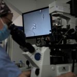 PMA GPA IA Lancement Des Etats Généraux Bioéthique PMA GPA IA Lancement Des Etats Généraux Bioéthique