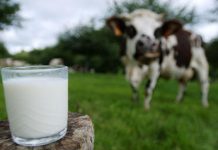 Avons-Nous Vraiment Besoin de Boire du Lait? Avons-Nous Vraiment Besoin de Boire du Lait?