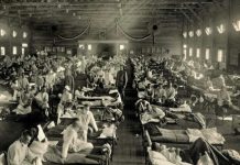 Sortie Du Monde De La Pandémie De Grippe Espagnole En 1919 Sortie Du Monde De La Pandémie De Grippe Espagnole En 1919