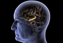 Déclin Cognitif Et Perte De Mémoire: Rétrécissement Cérébral Déclin Cognitif Et Perte De Mémoire: Rétrécissement Cérébral